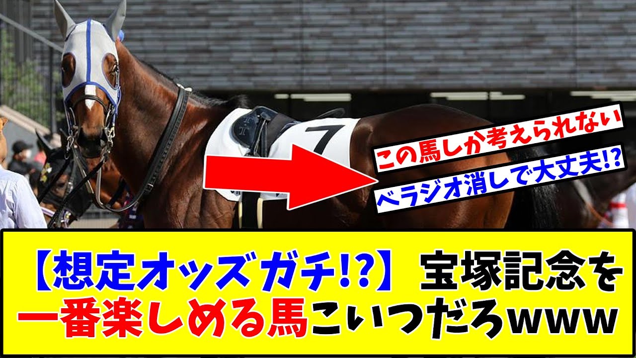 【宝塚記念】【想定オッズガチ⁉】宝塚記念を一番楽しめる馬こいつだろwww