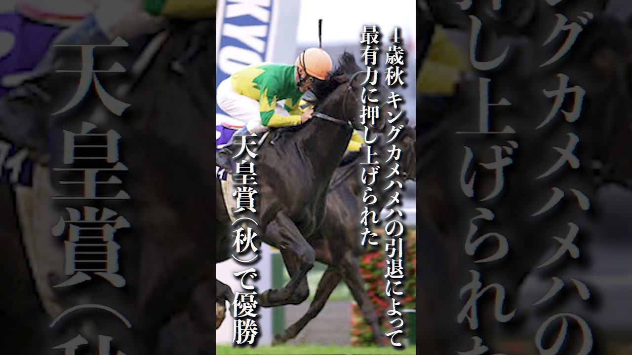 あの秋、僕らは英雄を見た　　　　　　　　　　　　　　　　#shorts #競馬 #ゼンノロブロイ