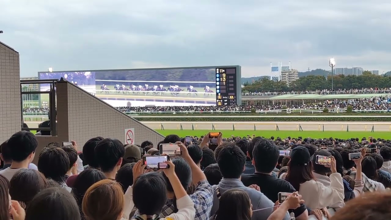 2024天皇賞・秋 ドウデュース