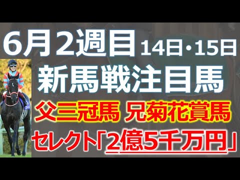 【注目コントレイル産駒】2億5000万円落札馬デビュー☆兄は菊花賞馬「アスクビクターモア」父は三冠馬「コントレイル」大注目馬☆