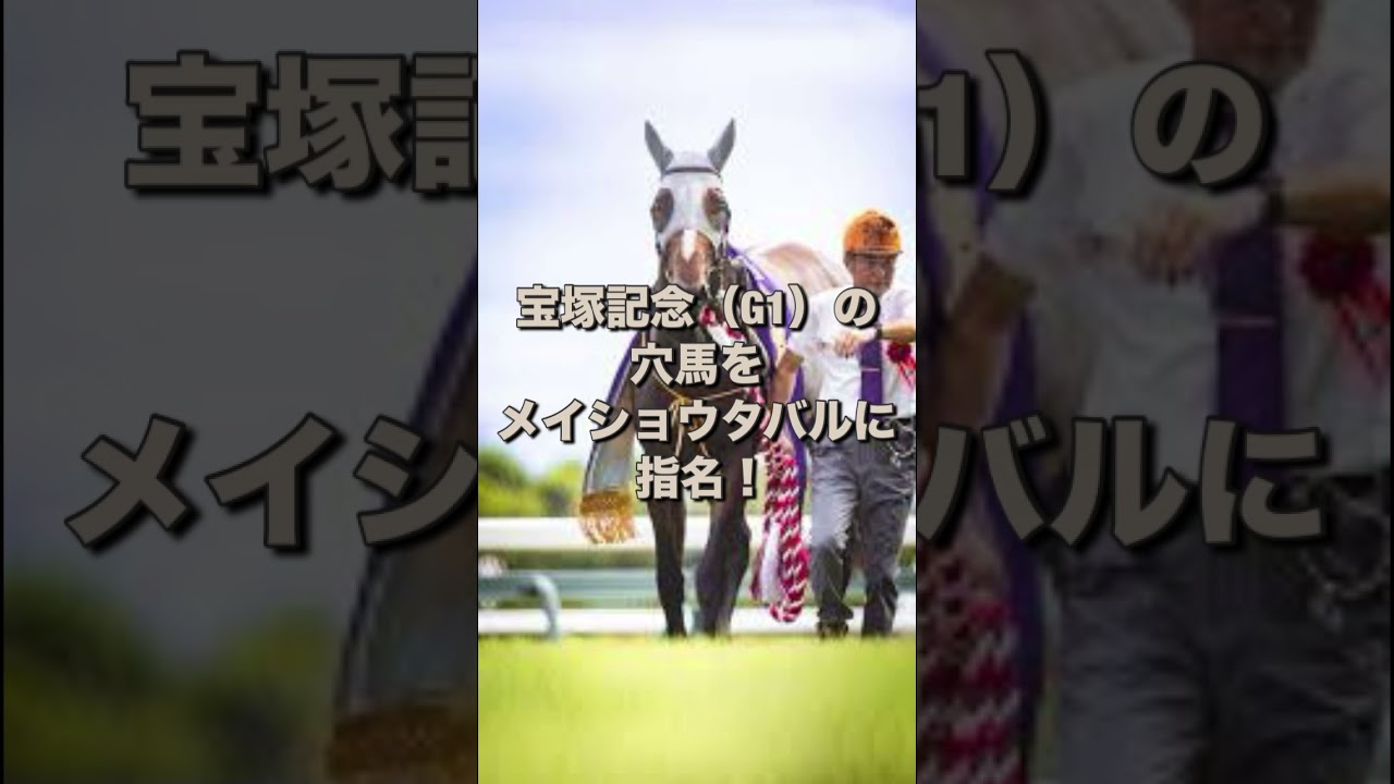 宝塚記念（G1）の穴馬をメイショウタバルに 指名！ #宝塚記念 #メイショウタバル #武豊 #穴馬 #万馬券 #競馬 #予想 #競馬予想 #買い目 #阪神11r #阪神競馬 #阪神競馬場 #jra