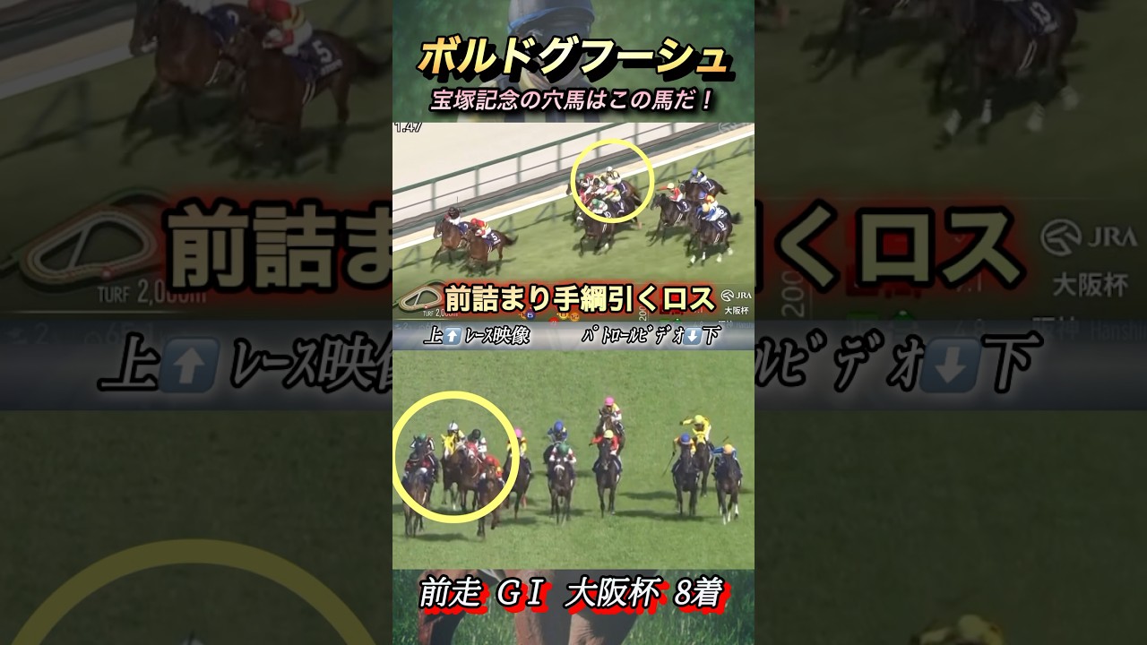 2025宝塚記念最大の穴馬はこの馬だ！　#競馬  #宝塚記念  #ボルドグフーシュ  #shorts