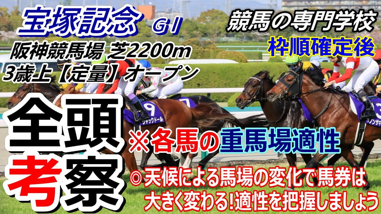 【宝塚記念2025】全頭考察 ご自身で馬券を考えたい方向けの動画です