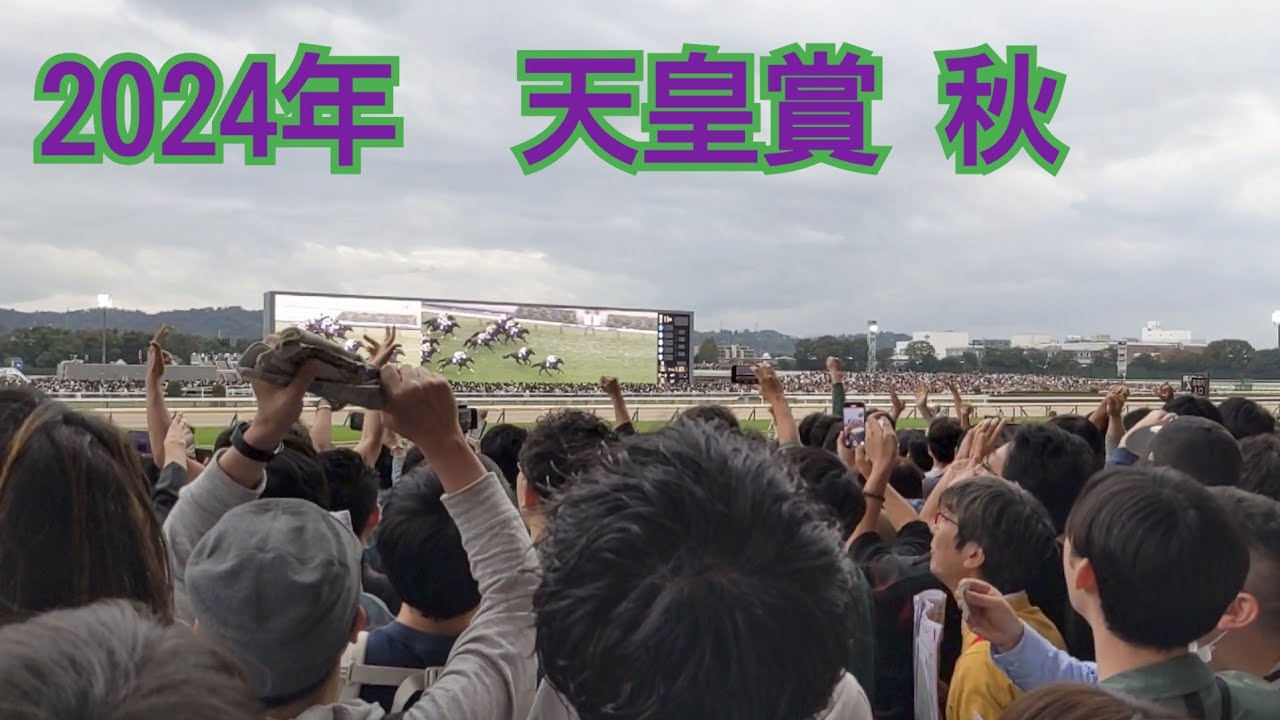2024年 天皇賞(秋)【現地記録】