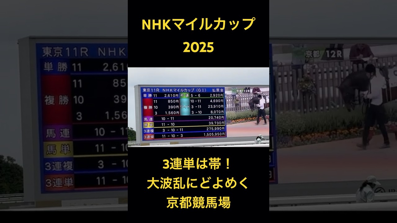 NHKマイルカップ2025 大波乱にどよめく京都競馬場 #shorts #競馬 #nhkマイルカップ