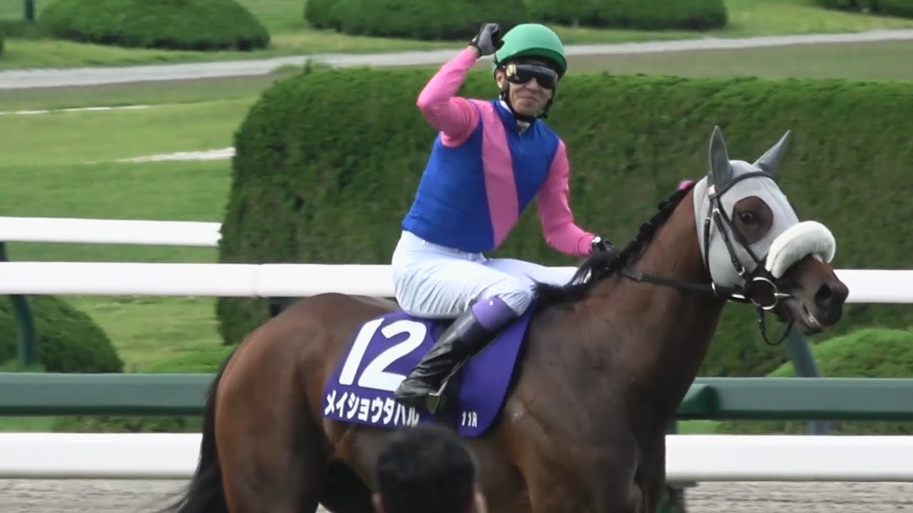 【現地】2025 G1 宝塚記念 メイショウタバル 武豊【阪神競馬場】