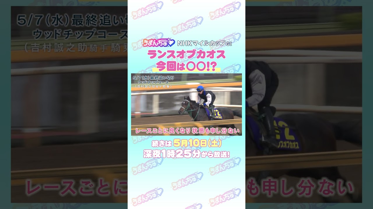 NHKマイルカップGⅠ　トレセン直撃取材！　＃競馬　#NHKマイルカップ　#ランスオブカオス　#吉村誠之助