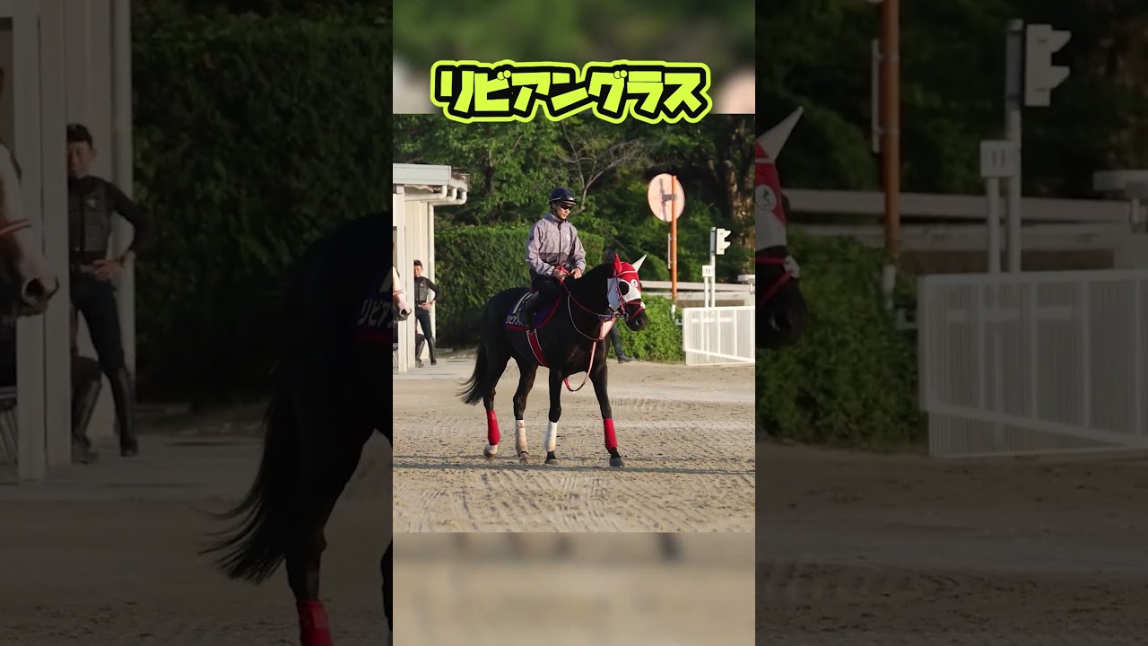 【宝塚記念出走予定】リビアングラス 栗東での様子 #shorts
