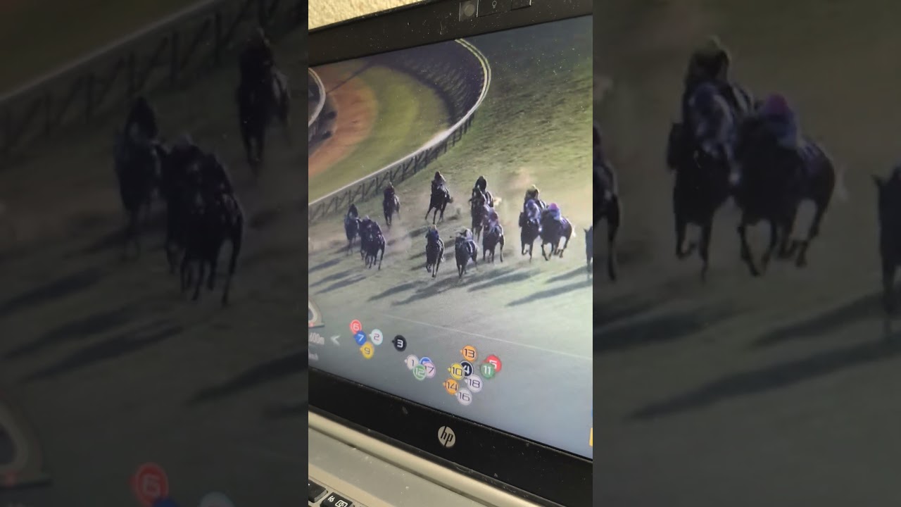 阪神ジュベナイルフィリーズ　テリオスララ　３着☆