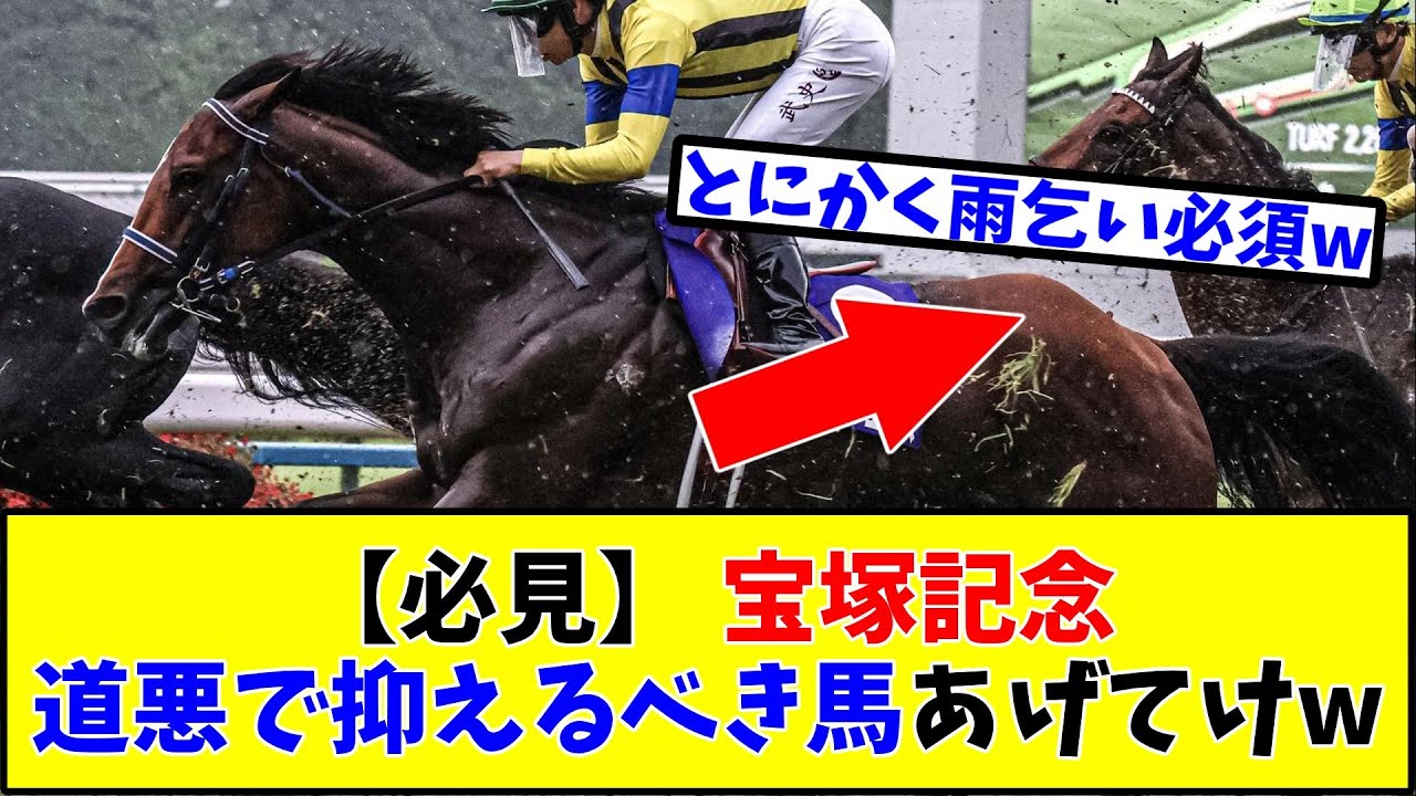 【宝塚記念】【必見】宝塚記念道悪で抑えるべき馬あげてけw