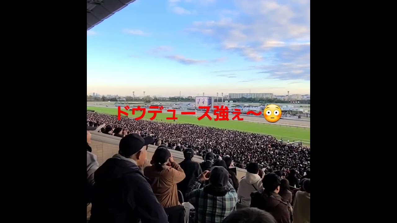 ジャパンカップ2024直線の攻防