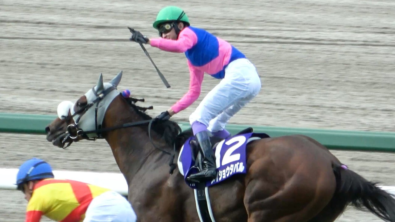 【宝塚記念2025】 武豊が天へ向けて何度もガッツポーズ ゴルシ産駒のメイショウタバルと石橋守調教師をGⅠへ導く ウイニングラン 現地映像 生ファンファーレ付き