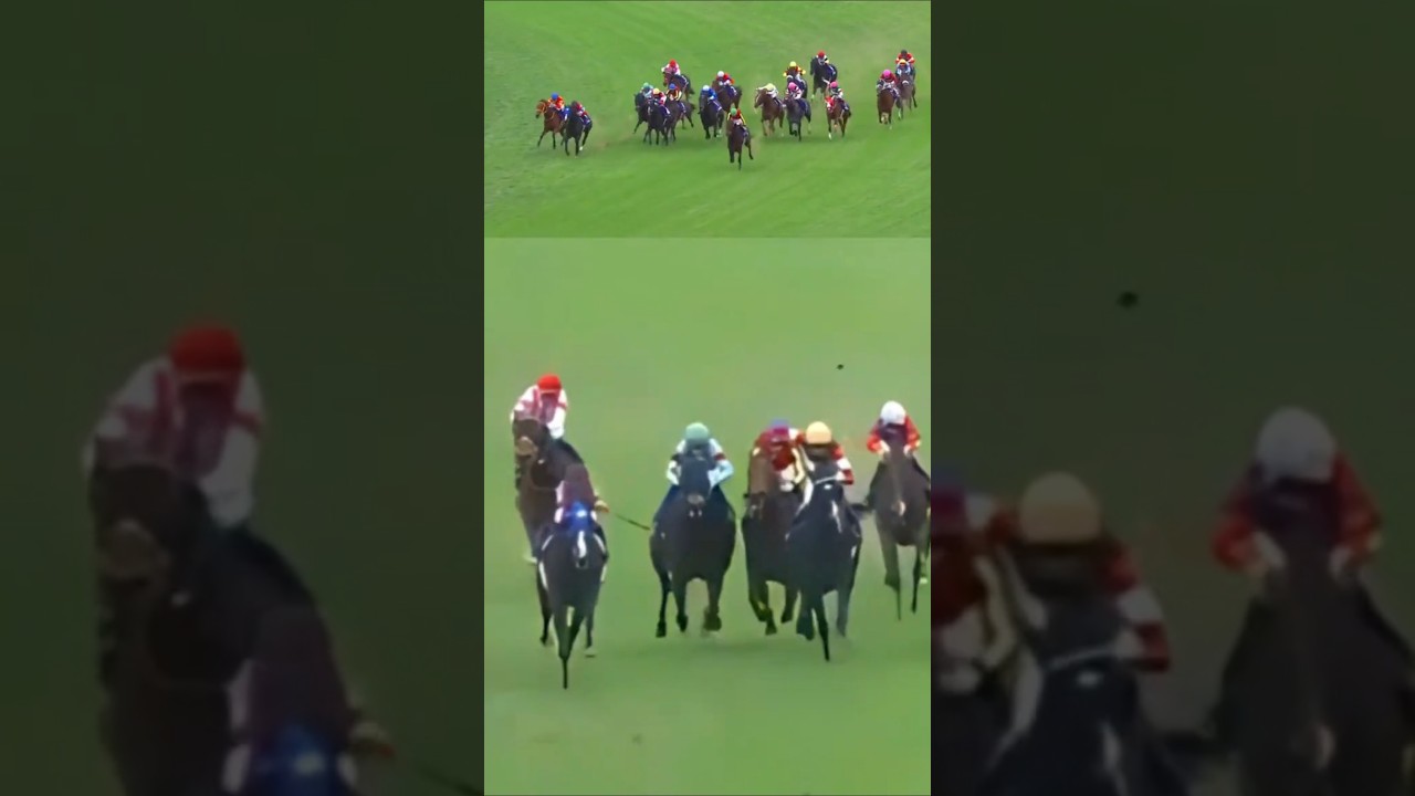 [レガレイラの厳しい宣線]#エリザベス女王杯レガレイラルメール競馬#エリザベ.#競馬 #競馬予想 #馬 #shorts