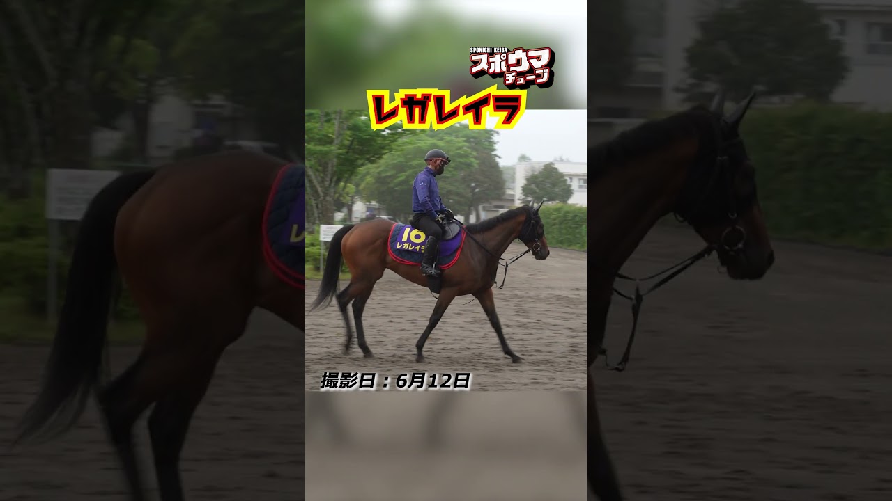 【宝塚記念・出走予定】レガレイラ 美浦での様子 #shorts