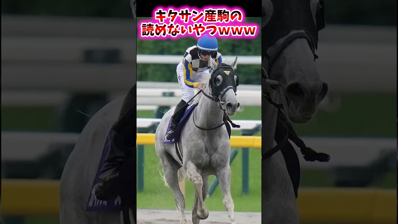キタサン産駒の読めないやつwww【競馬反応集】 #ガイアフォース #キタサンブラック #安田記念