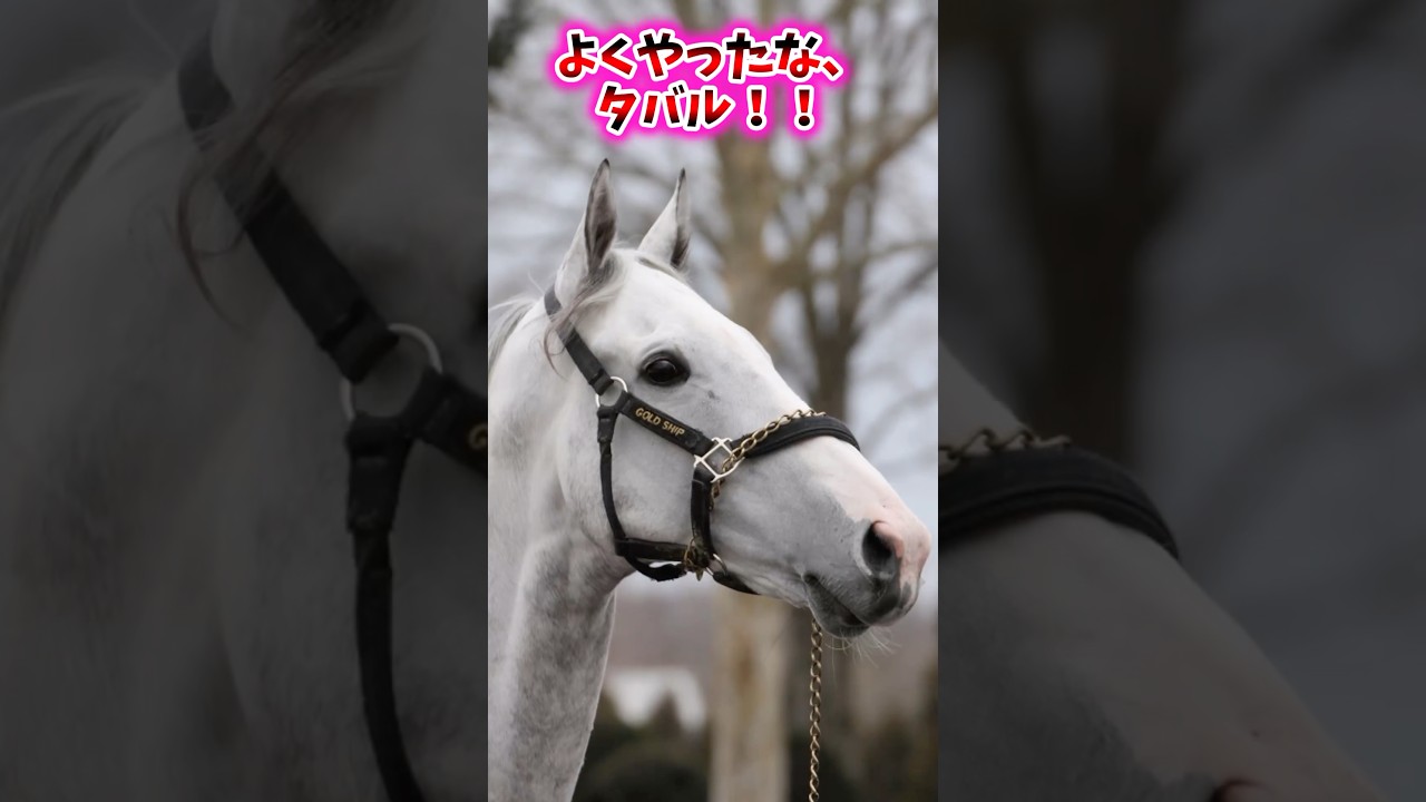 よくやったな、タバル！！【競馬反応集】 #宝塚記念 #メイショウタバル #ゴールドシップ