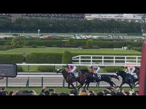 現地撮影 宝塚記念2025 メイショウタバル 武豊