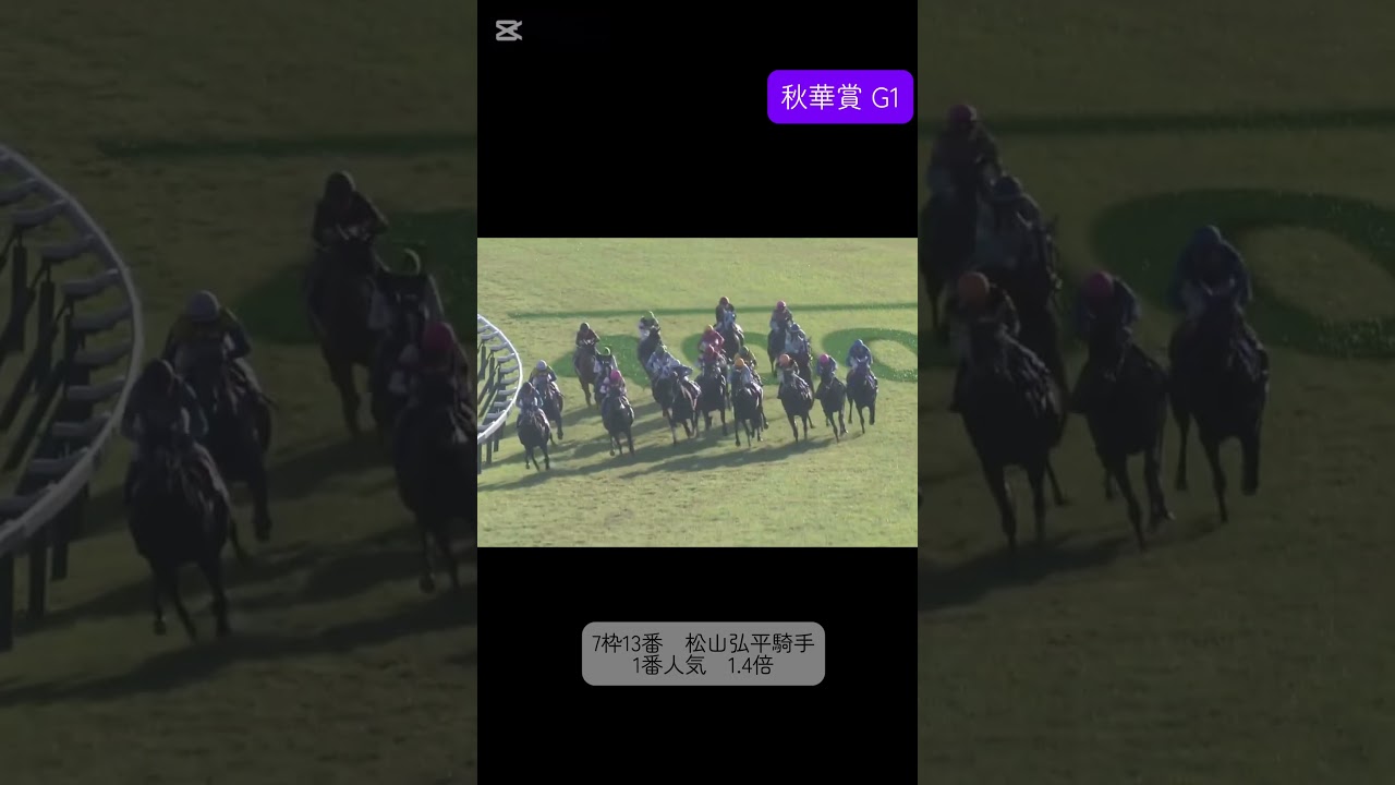 デアリングタクト　秋華賞　#競馬 #ウマ娘 #shorts #JRA #競馬予想
