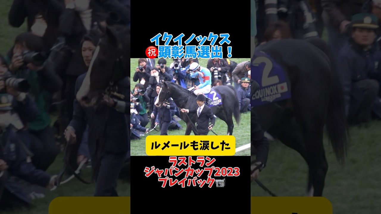 【イクイノックス】顕彰馬選出おめでとう！ルメールも涙したラストランをプレイバック📹 #shorts #イクイノックス #ジャパンカップ #リバティアイランド #パンサラッサ
