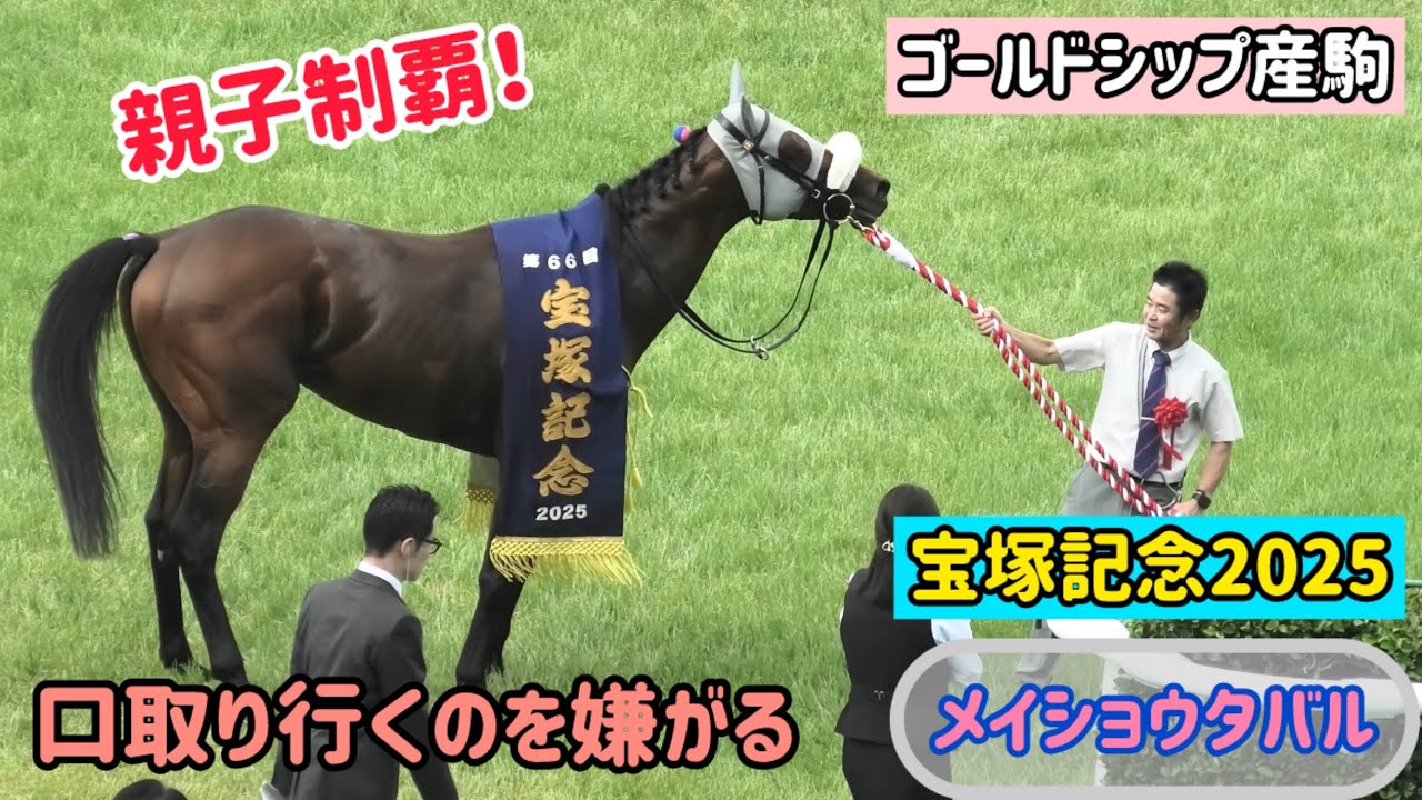 【宝塚記念2025】父の日に親子制覇の偉業を成し遂げたのに口取りはお気に召さないメイショウタバル