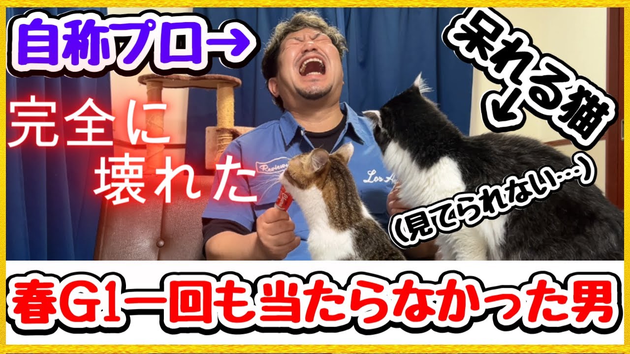 春Ｇ1一度も当たらなかった競馬予想家と見捨てる猫【感動の宝塚記念2025実践】