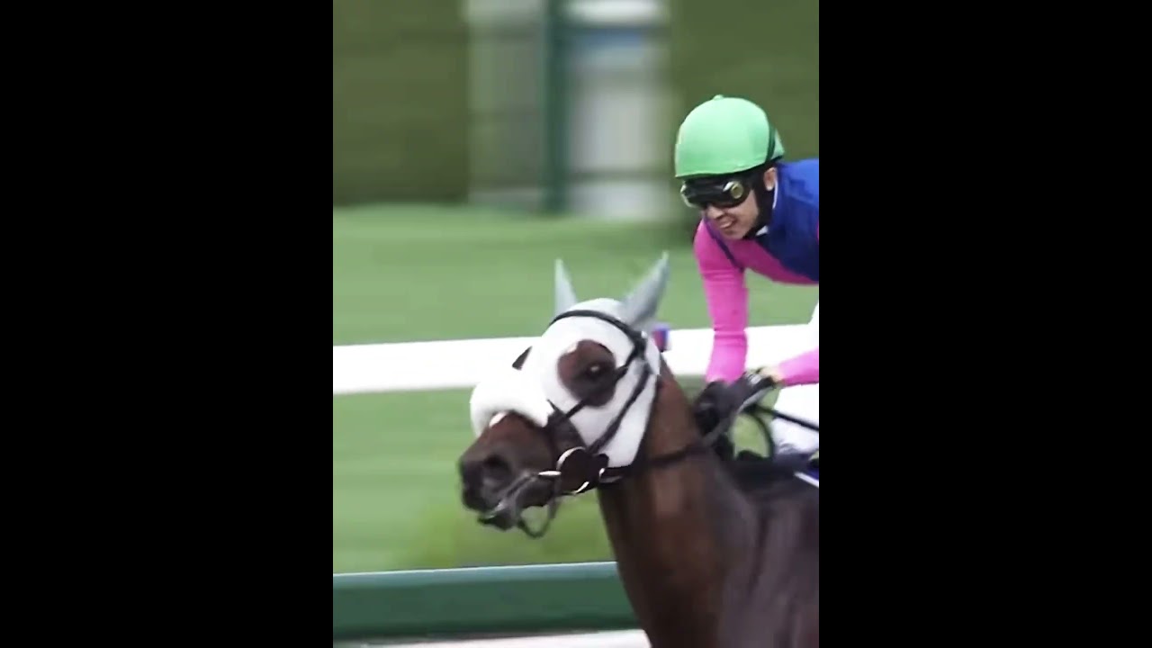 メイショウタバル宝塚記念2025（豊マジック）