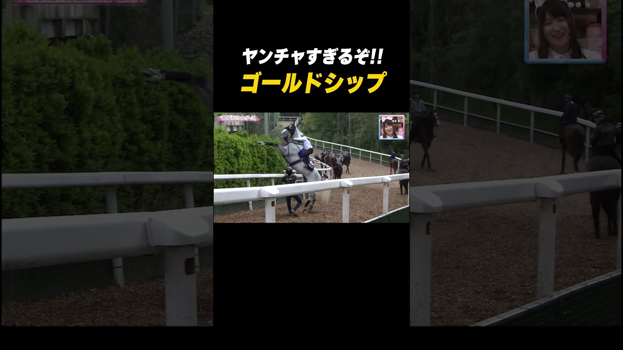 #横山典弘「お願いします！走ってください🙇」#ゴルシ はヤンチャすぎる😅 #shorts