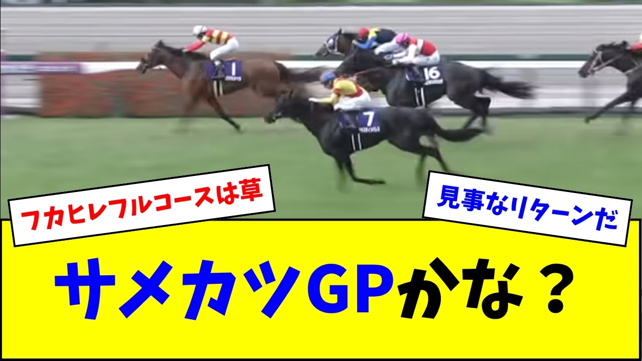 宝塚記念の3着から5着、見事にサメカツ絡みにw w w