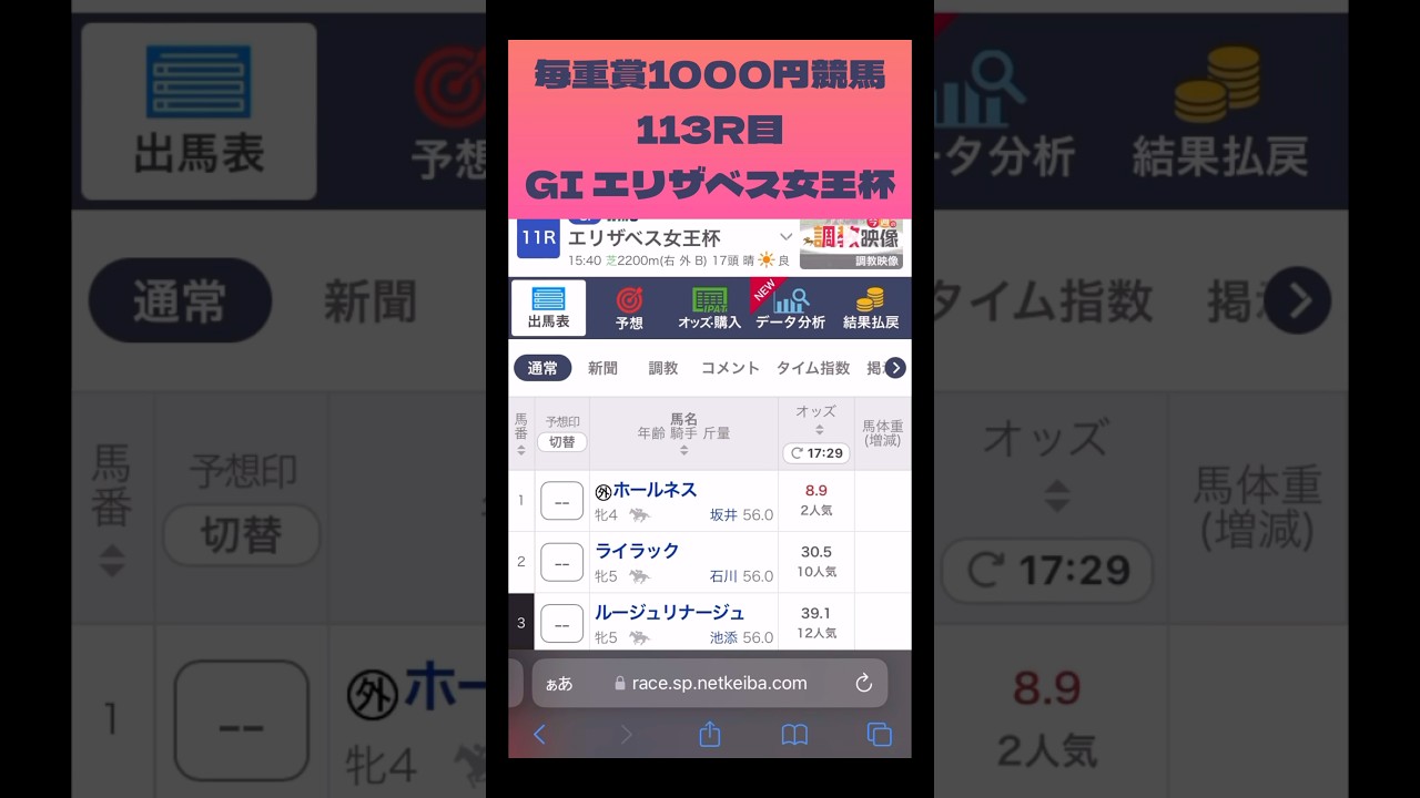 エリザベス女王杯2024 予想 毎重賞1000円競馬113R目 #エリザベス女王杯2024 #エリザベス女王杯 #shorts