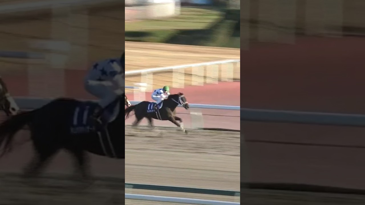 #shorts 2020 チャンピオンズカップ #チュウワウィザード #戸崎圭太