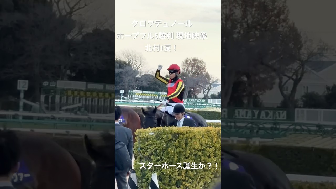 クロワデュノール 現地映像 ホープフルステークス 2024.12.28