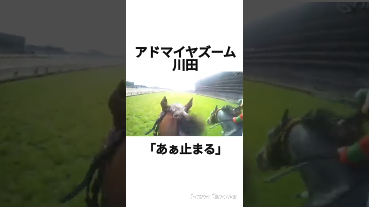 【NHKマイルC2025】「あぁ止まる」アドマイヤズーム川田のジョッキーカメラ　 #競馬