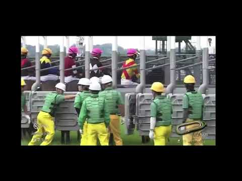 東京競馬第11R 優駿牝馬(オークス)