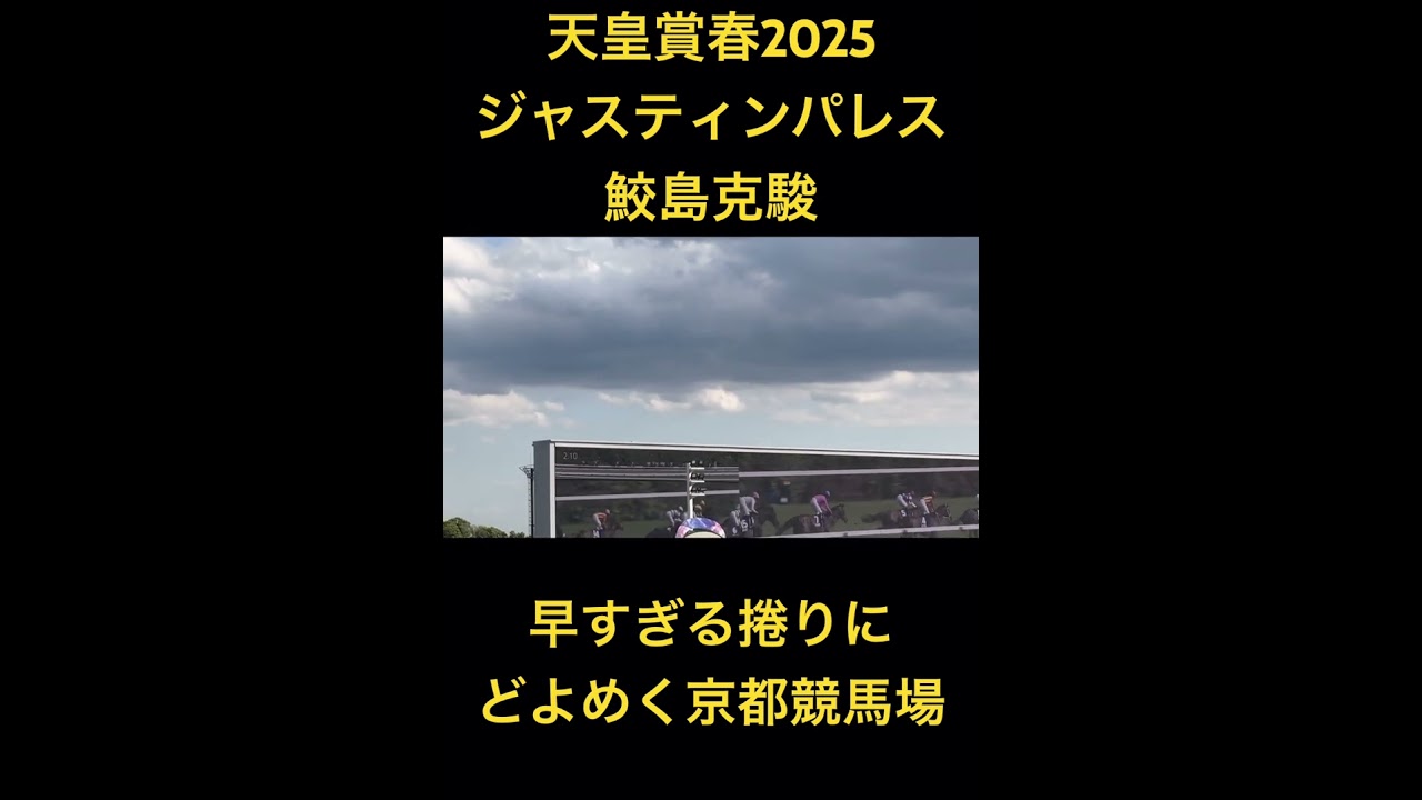 天皇賞春2025 ジャスティンパレス 鮫島克駿 早すぎる捲りにどよめく京都競馬場 #shorts #京都競馬場 #競馬 #天皇賞 #天皇賞春 #ジャスティンパレス