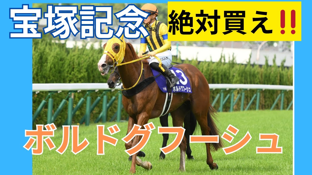 [宝塚記念2025] 絶対買え!!  ボルドクフーシュ！！！
