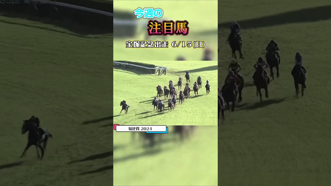 宝塚記念出走 6/15（日）菊花賞馬アーバンシッ ク#競馬 #競馬予想 #馬 #shorts