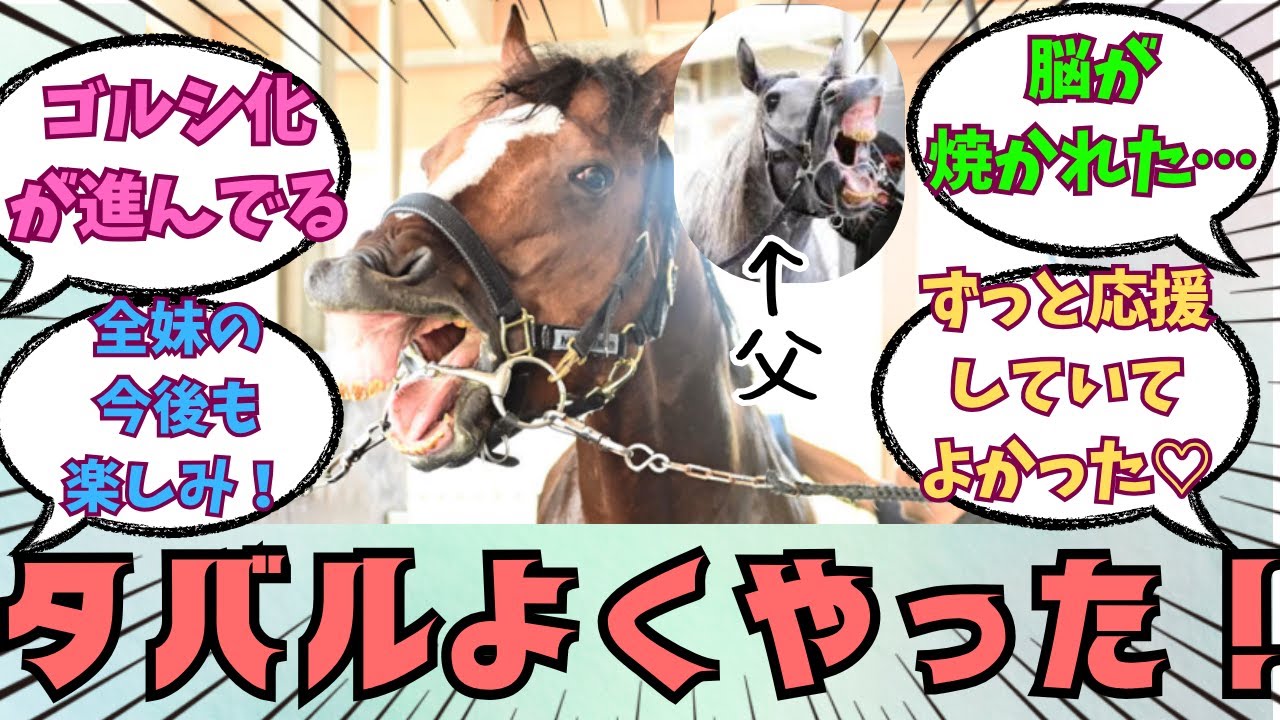 【メイショウタバル】宝塚記念を父の日に制覇！GⅠ初勝利！に対する競馬好きの反応【競馬の反応集】
