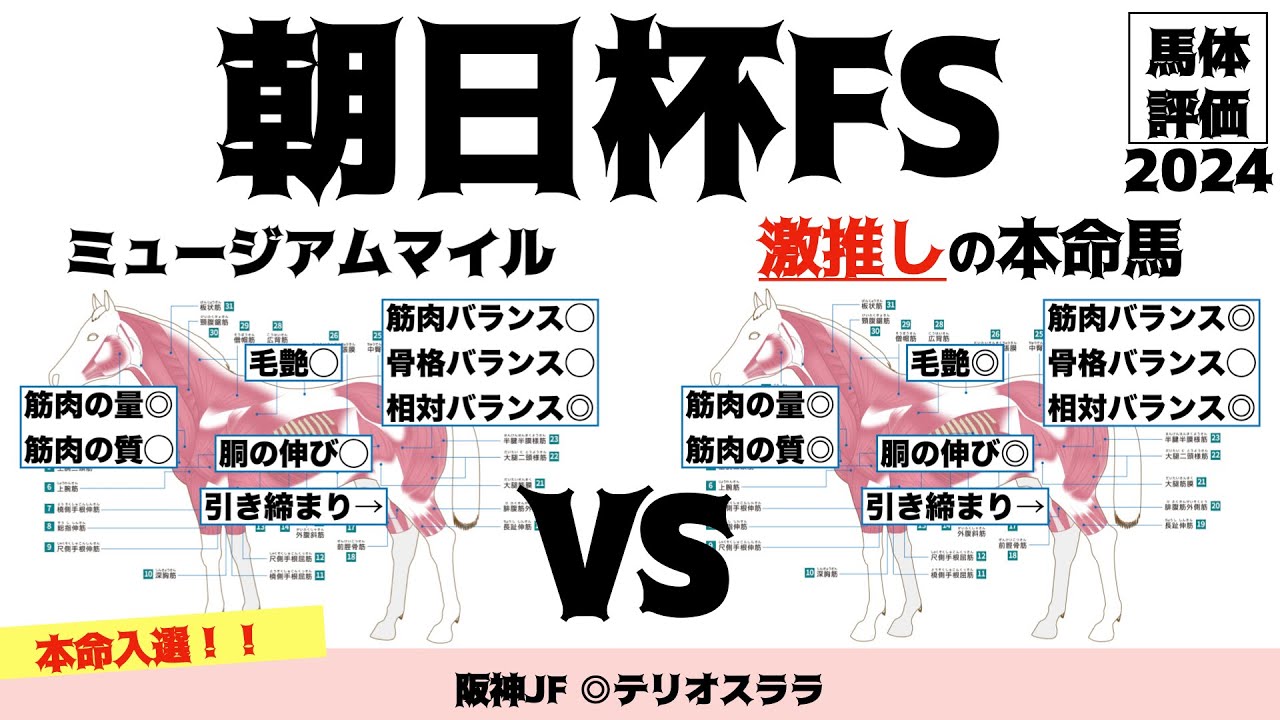 【朝日杯フューチュリティステークス2024】ミュージアムマイルはちょっと割引要素強めかなと思っております…。【馬体評価】