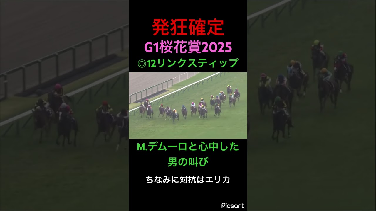【発狂確定】桜花賞2025リンクスティップと心中した男の発狂… #競馬 #桜花賞2025 #桜花賞 #競馬予想 #jra #ウマ娘 #エンブロイダリー