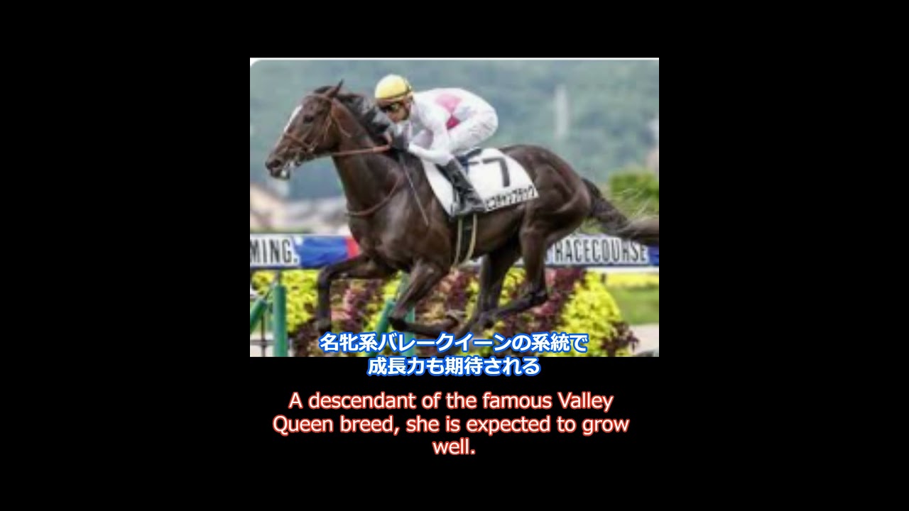 【最新ニュース】中山11Rホープフルステークス注目の激走馬ピコチャンブラック~Nakayama 11R Hopeful StakesFeatured Fierce Runner-up 　#shorts