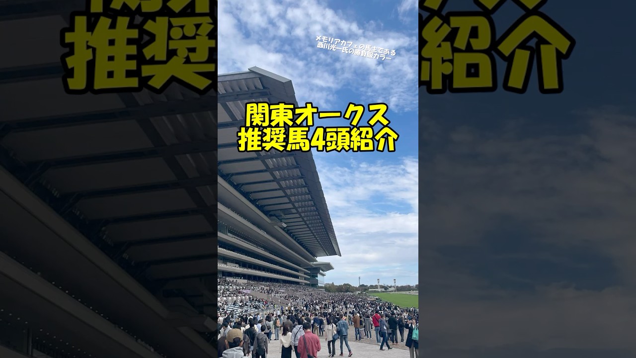 【関東オークス2025 推奨馬を4頭紹介】南関東牝馬三冠レース最終関門!! #shhorts #競馬予想 #関東オークス