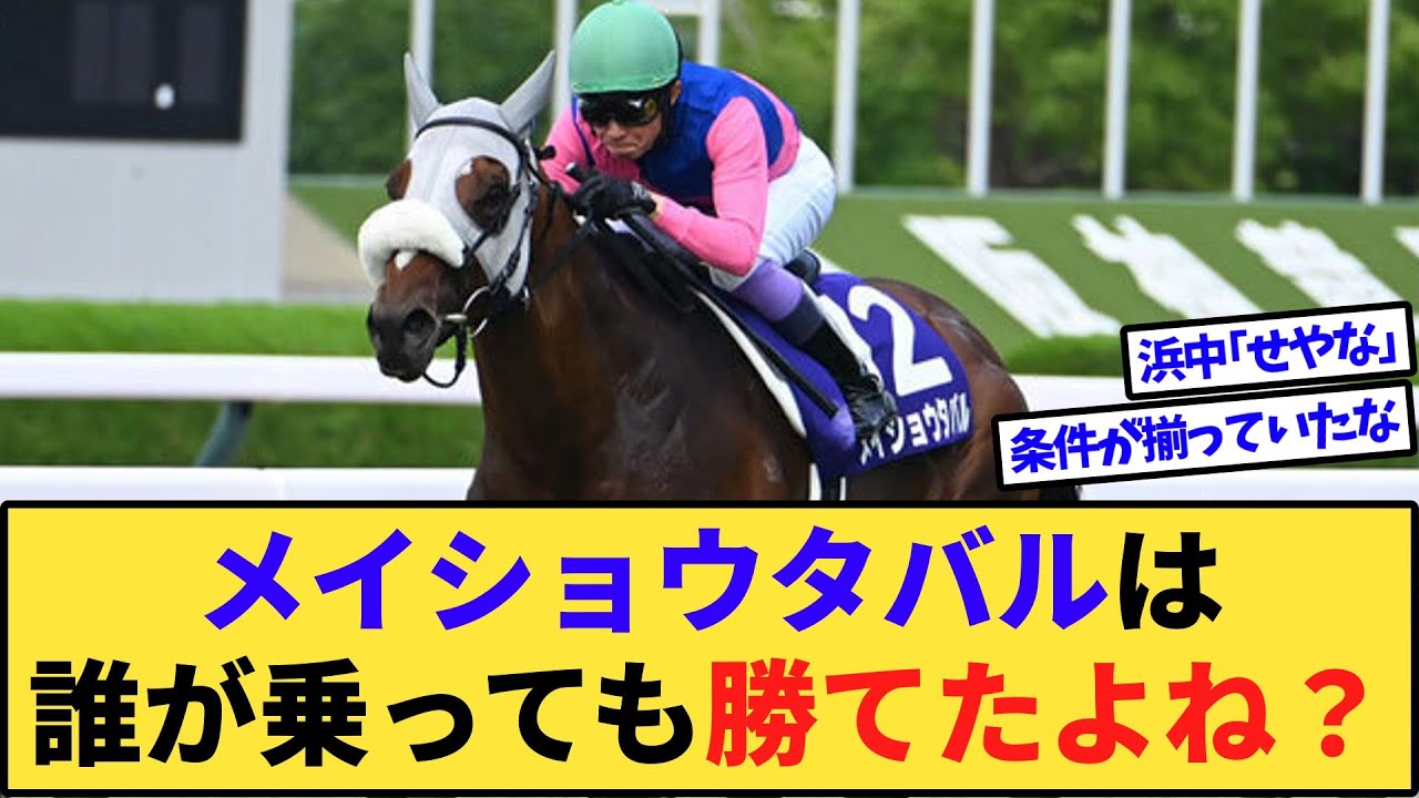 【競馬】ぶっちゃけメイショウタバルって誰が乗っても宝塚記念を勝ってたよね？
