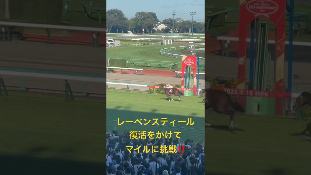【競馬現地映像】レーベンスティール、マイルへの挑戦でしらさぎSへ‼️