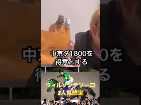 チャンピオンズカップ注目馬②ウィルソンテソーロ#チャンピオンズカップ#チャンピオンズC#ウィルソンテソーロ #川田騎手