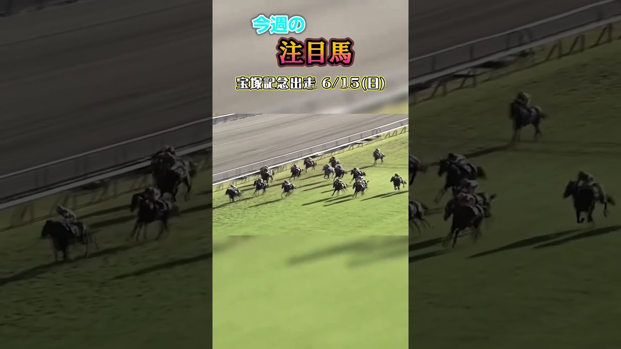 宝塚記念出走 6/15（日）昨年の 菊花賞馬ドゥレ ツ ツァ#競馬 #競馬予想 #馬 #shorts