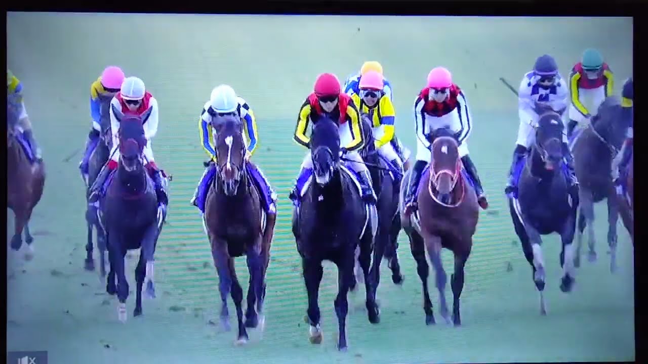 2024/12/28 第41回ホープフルステークス(G1・中山芝2,000M)-クロワデュノール