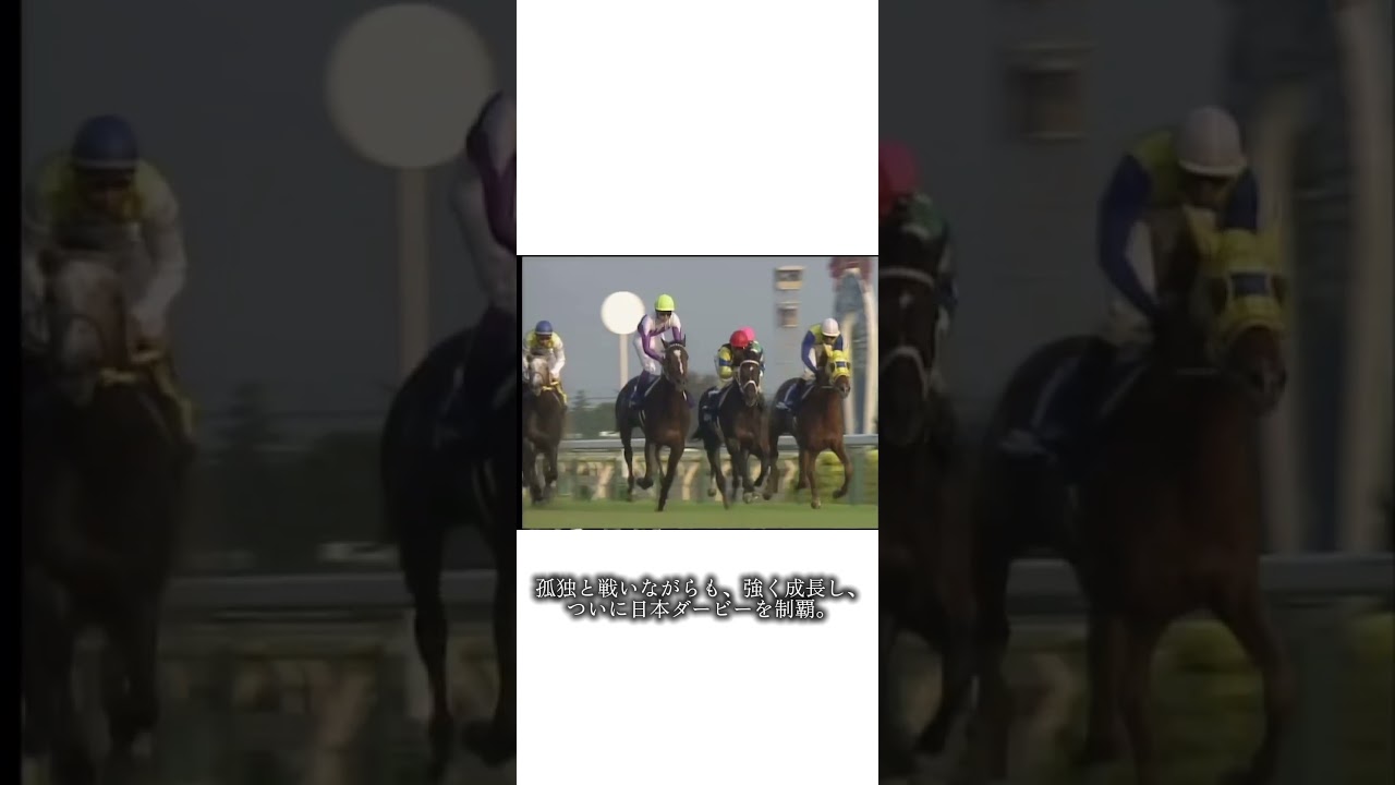 【泣ける実話】スペシャルウィークが"日本一の馬"と呼ばれる理由#スペシャルウィーク#感動実話#泣ける話#競馬#競走馬#競馬好きと繋がりたい#日本ダービー#引退レース#ジャパンカップ#名馬列伝