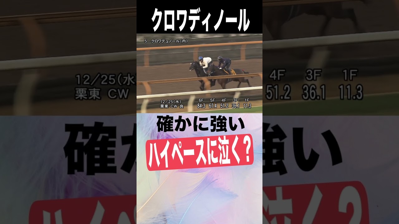 ホープフルステークス2024　元厩務員　#ホープフルステークス #ホープフルs