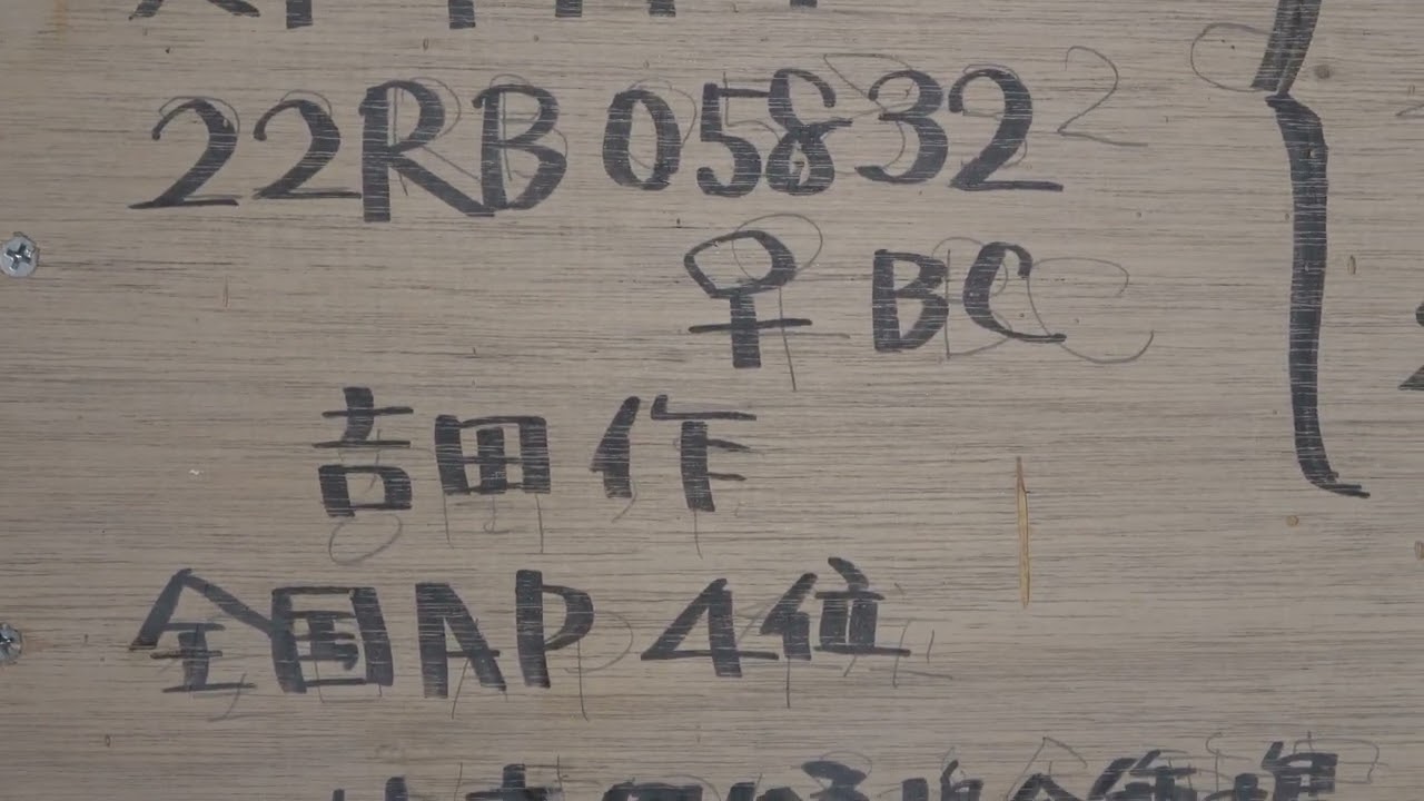 2025年6月18日撮影　（551号直仔　2025年桜花賞総合2位）　吉田作スーパ－種鳩16年桜花賞総合優勝　CHブロック総合３位異父姉妹　全国エースピジョン1位　雨姫号18年日本AP賞全国１位