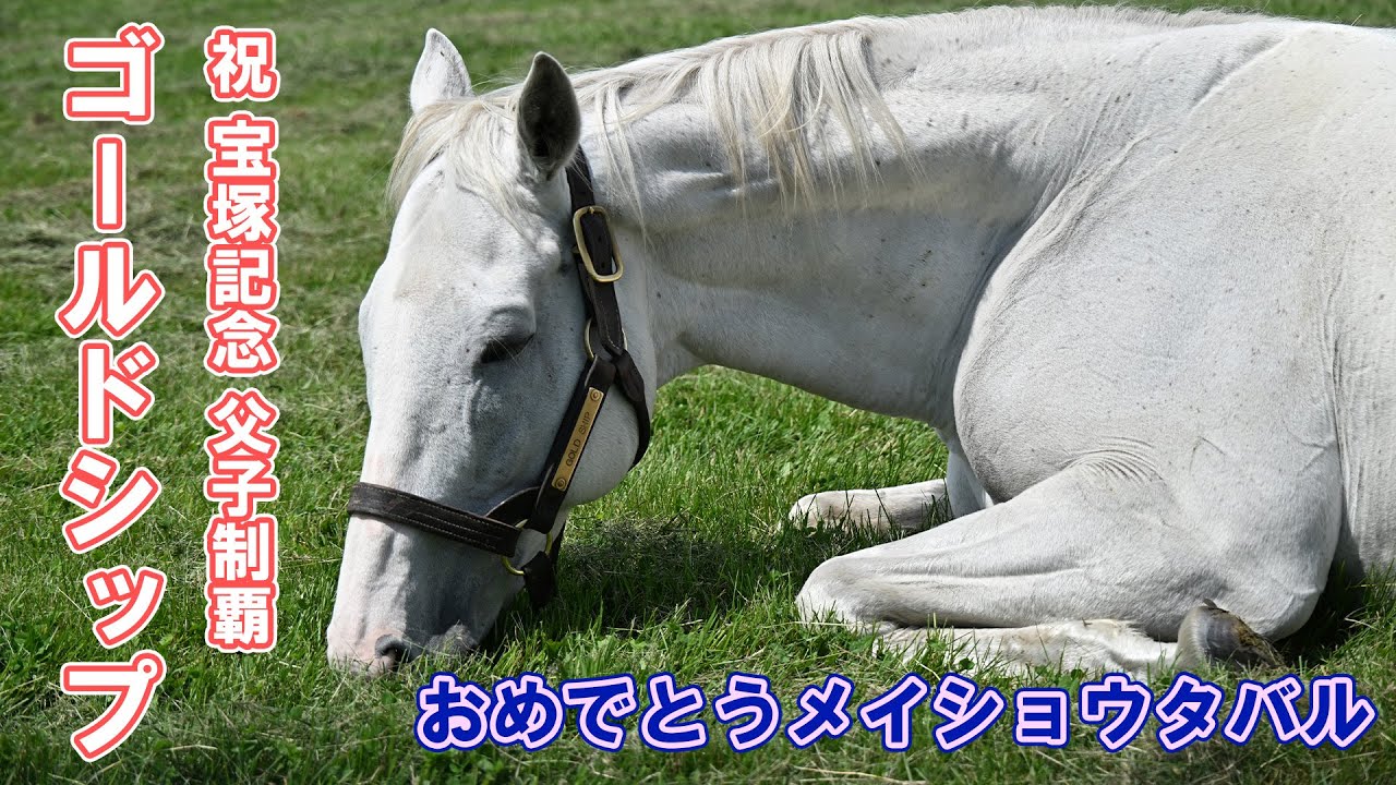 【祝！宝塚記念父子制覇】メイショウタバルの父ゴールドシップの最新映像を公開！